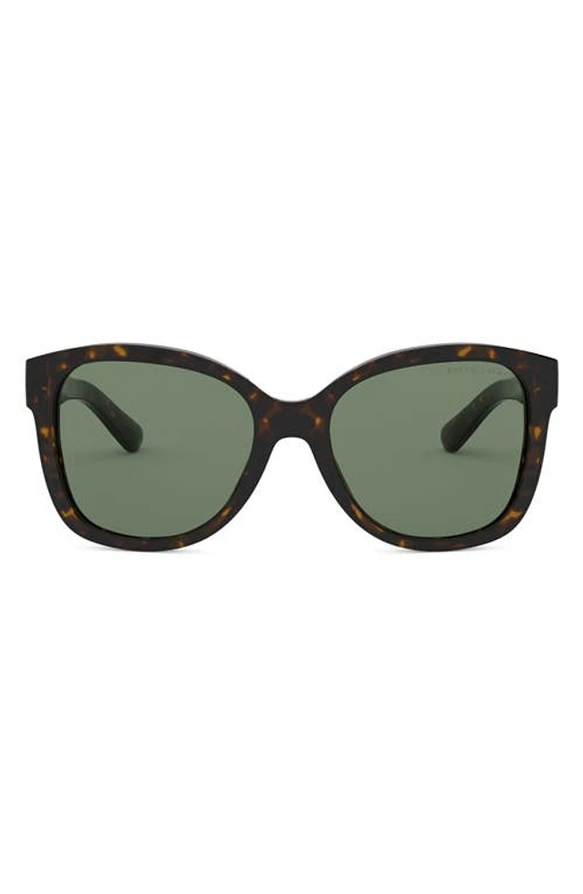 Ralph Lauren 54mm Square Sunglasses in Shiny Dark Havana/green at Nordstrom