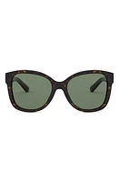 Ralph Lauren 54mm Square Sunglasses in Shiny Dark Havana/green at Nordstrom