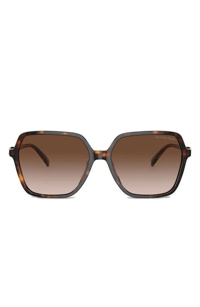 Michael Kors Jasper 58mm Square Sunglasses in Dk Tort at Nordstrom