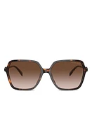 Michael Kors Jasper 58mm Square Sunglasses in Dk Tort at Nordstrom