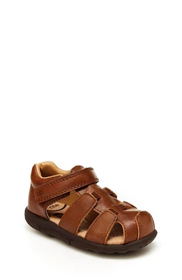 Stride Rite SRtech Archie Sandal Brown at Nordstrom, M