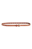 Golden Goose Molly Star Stud Leather Belt Cuoio at Nordstrom,