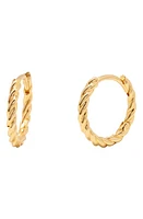 Brook and York Lottie Twisted Hoop Earrings in Gold at Nordstrom