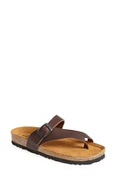 Naot Tahoe Slide Sandal in Buffalo at Nordstrom, Size 4Us