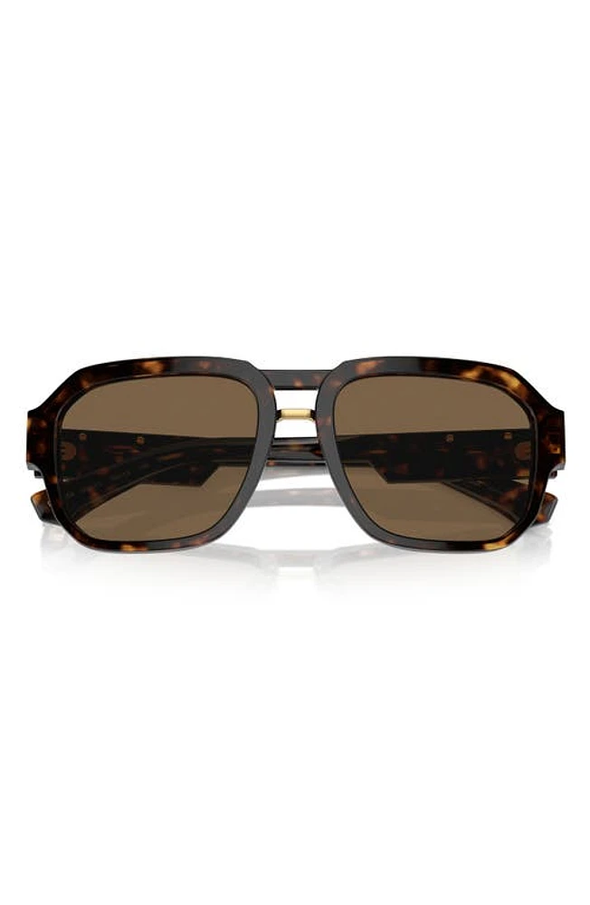 Dolce & Gabbana 56mm Pilot Sunglasses in Havana at Nordstrom