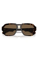 Dolce & Gabbana 56mm Pilot Sunglasses in Havana at Nordstrom