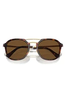 Persol 53mm Polarized Square Sunglasses in Havana at Nordstrom