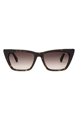 DEZI Gato 55mm Cat Eye Sunglasses in Tort /Brown Gradient at Nordstrom