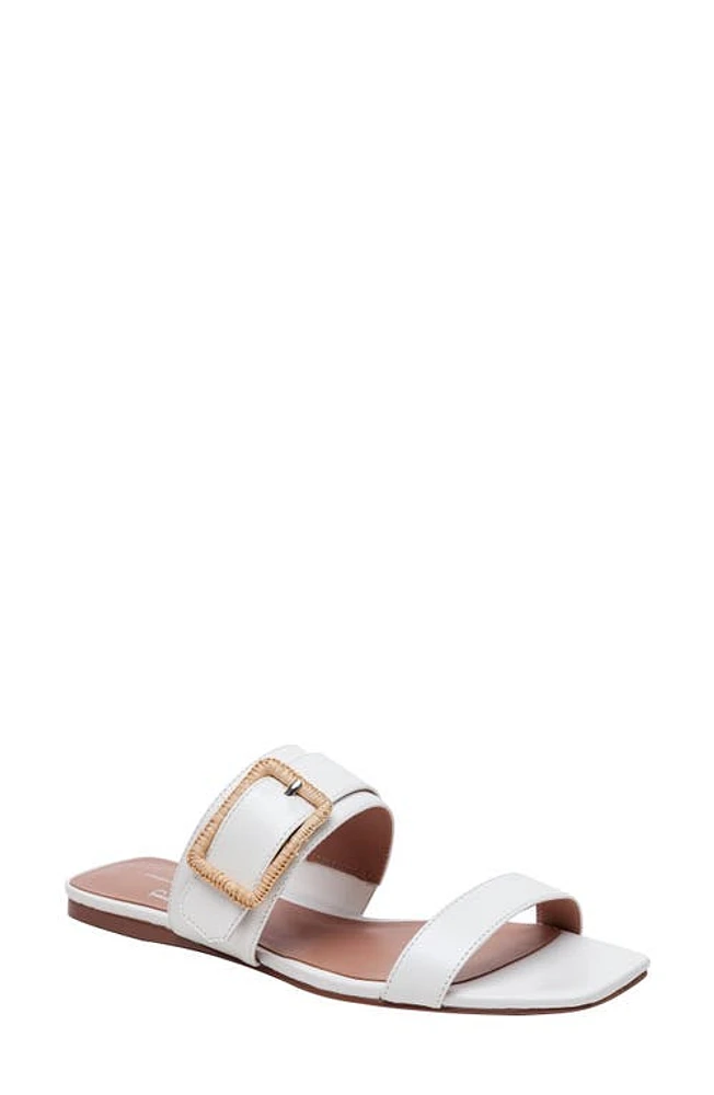 Linea Paolo Daniela Slide Sandal at Nordstrom,