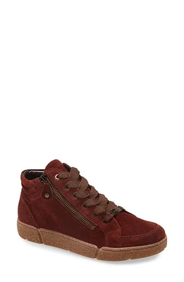 ara Raja Sneaker in Marrone Velour Suede at Nordstrom, Size 8.5