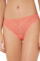 Etam Idole Lace Tanga at Nordstrom,