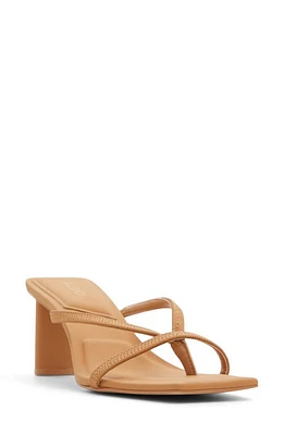 ALDO Sanne Slide Sandal Dark Beige at Nordstrom,