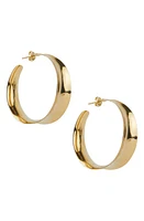 Argento Vivo Sterling Silver Lux Hoop Earrings in Gold at Nordstrom