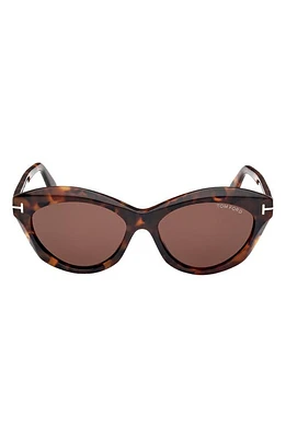 TOM FORD Toni 55mm Oval Sunglasses in Shiny Dark Havana /Brown at Nordstrom