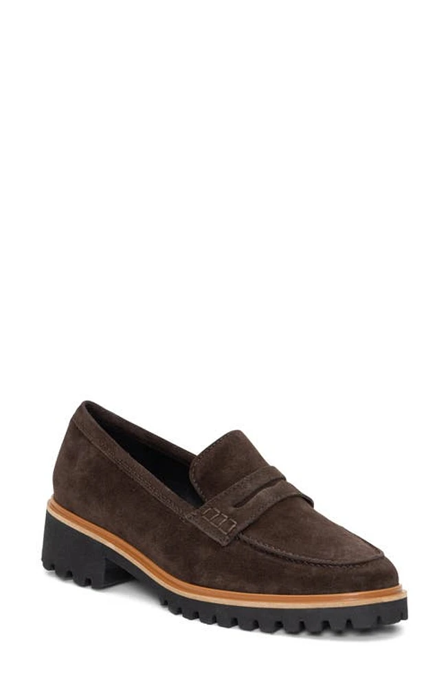 ara Karina Penny Loafer Brown at Nordstrom,