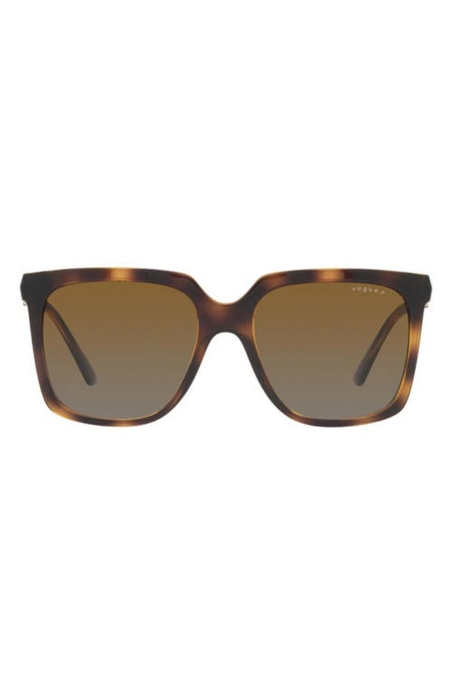 VOGUE 54mm Polarized Square Sunglasses in Dark Havana at Nordstrom