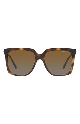 VOGUE 54mm Polarized Square Sunglasses in Dark Havana at Nordstrom