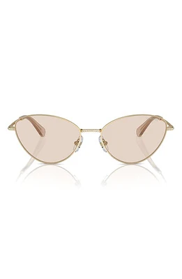 Swarovski 58mm Cat Eye Sunglasses in Pale Gold at Nordstrom