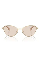 Swarovski 58mm Cat Eye Sunglasses in Pale Gold at Nordstrom