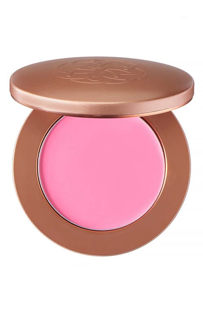 YENSA Super Serum Silk Cream Blush in Pink Bliss at Nordstrom