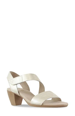 Munro Lucia Sandal Gold at Nordstrom,