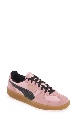 PUMA Palermo Sneaker Bright Pink-Puma Black at Nordstrom,