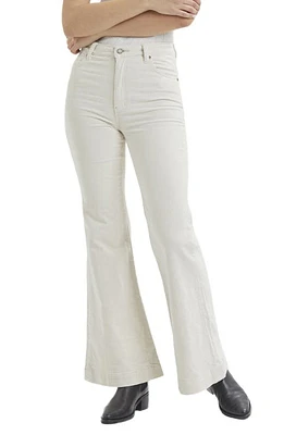 Rolla's Eastcoast Flare Leg Corduroy Pants Vanilla Cord at Nordstrom,