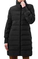 Bernardo Stand Collar Puffer Jacket Black at Nordstrom,