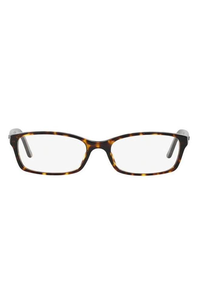 burberry 53mm PIllow Optical Glasses in Dark Havana at Nordstrom