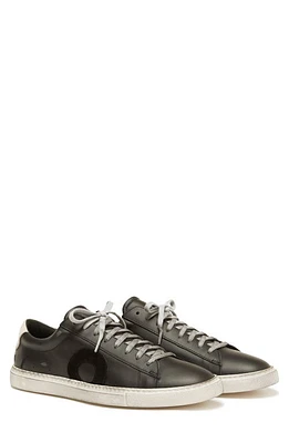 OLIVER CABELL Low 1 Sneaker Phantom at Nordstrom,