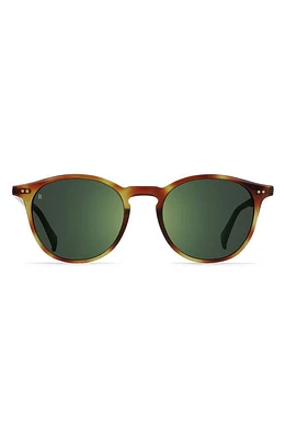 RAEN Basq 50mm Round Sunglasses in Moab Tortoise/Green at Nordstrom