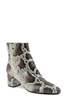 Bruno Magli Vinny Bootie in Roccia Snake at Nordstrom, Size 7