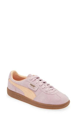 PUMA Palermo Leather Sneaker Grape Mist-Peach Fizz at Nordstrom,