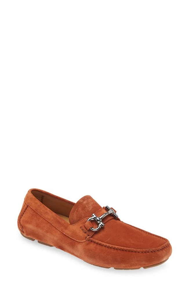 FERRAGAMO Parigi Bit Driving Loafer in Terracotta New Biscotto at Nordstrom, Size 10