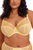 Elomi Charley Full Figure Underwire Plunge Bra at Nordstrom,