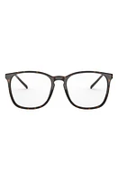 Ray-Ban 52mm Square Optical Glasses in Havana at Nordstrom