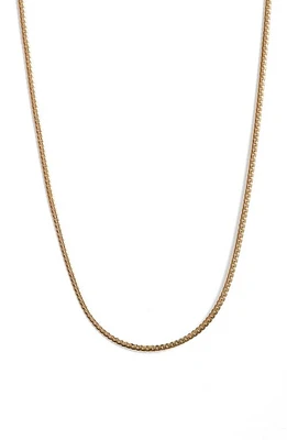 Jenny Bird Aria Curb Chain Necklace in High Polish Gold at Nordstrom