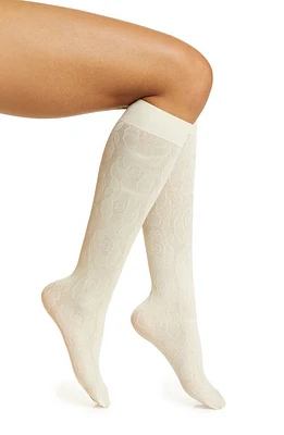 HIGH HEEL JUNGLE Maria Floral Lace Knee High Socks in Ivory at Nordstrom