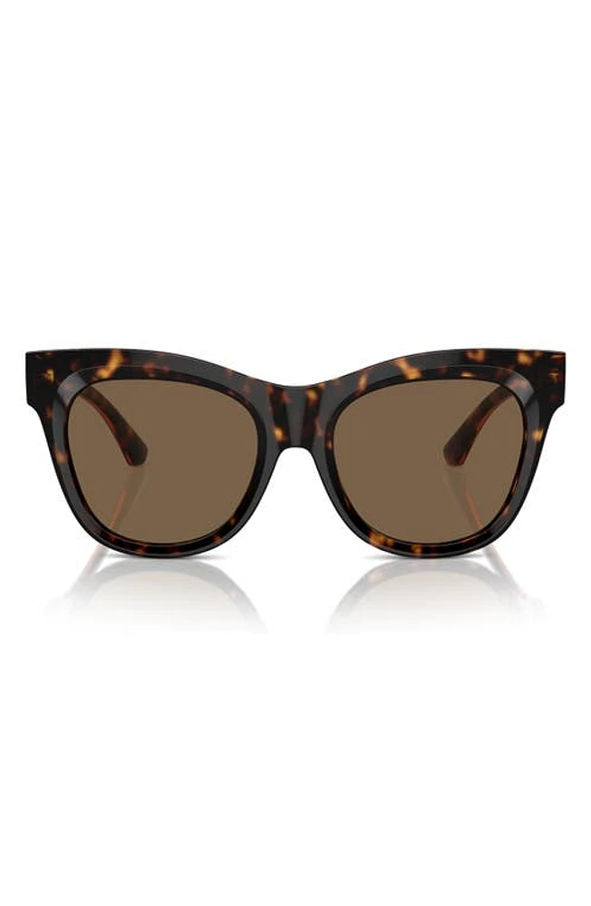 burberry Evolution 54mm Cat Eye Sunglasses in Dark Havana at Nordstrom