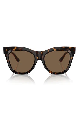 burberry Evolution 54mm Cat Eye Sunglasses in Dark Havana at Nordstrom