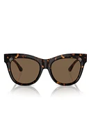 burberry Evolution 54mm Cat Eye Sunglasses in Dark Havana at Nordstrom