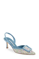 Manolo Blahnik Mayslibi Floral Pointed Toe Slingback Pump in Blue Multi at Nordstrom, Size 5Us