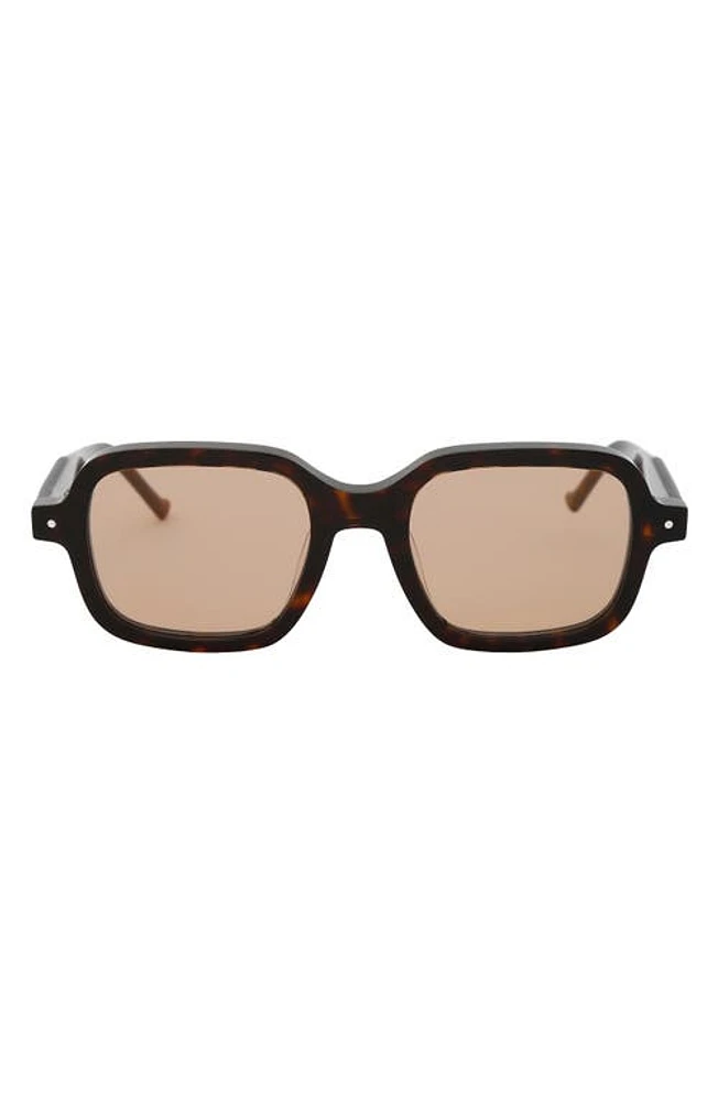 Grey Ant Sext Square Sunglasses in Tortoise/Tan at Nordstrom