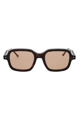 Grey Ant Sext Square Sunglasses in Tortoise/Tan at Nordstrom