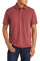 Tommy Bahama Le Cruz Point Polo at Nordstrom,