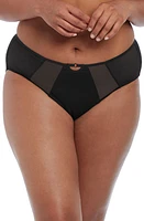 Elomi Sachi Full Figure High Waist Panties Black at Nordstrom,