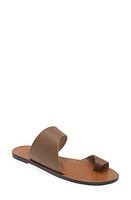 ATP ATELIER Centola Toe Loop Sandal Khaki Brown at Nordstrom,