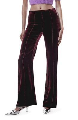 MANGO Seamed Flare Velvet Pants in Maroon at Nordstrom, Size 8