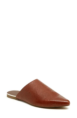 Kelsi Dagger Brooklyn Pointed Toe Water Resistant Mule Cider at Nordstrom,