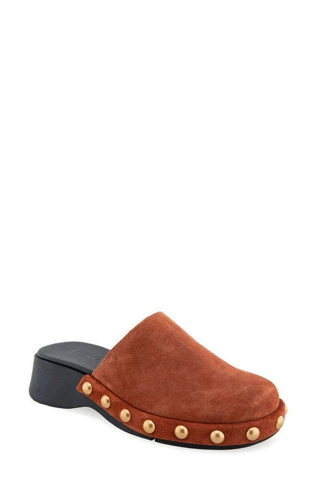 Aerosoles Faye Clog at Nordstrom,